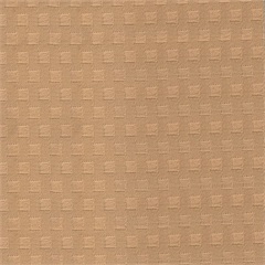 New Shadow Cube Nutmeg